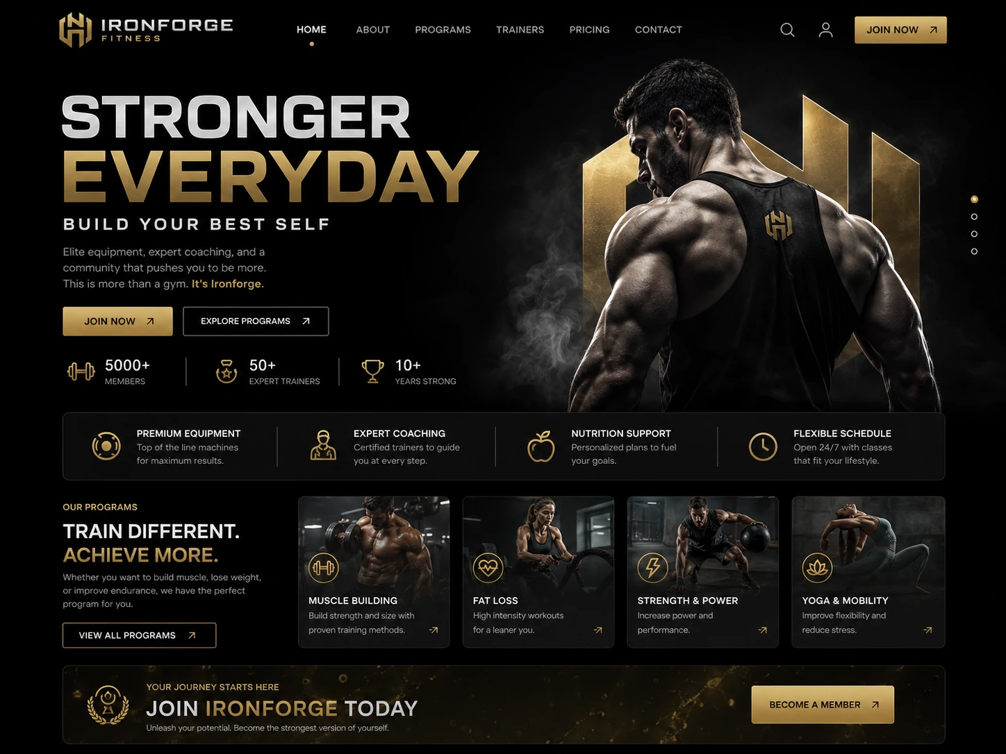 Website designed by Owzify for IronForge Fitness